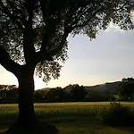 Podere Le Querce Дом отдыха