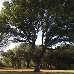 Podere Le Querce Роккастрада