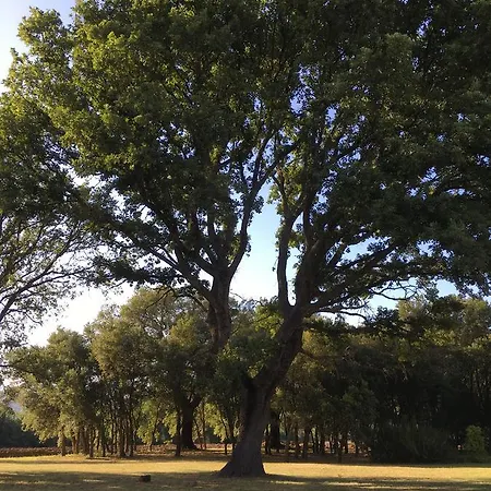Podere Le Querce Роккастрада