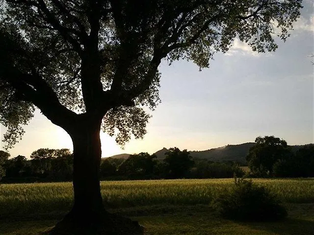 Podere Le Querce Ferienhaus