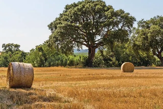 Ferienhaus Podere Le Querce