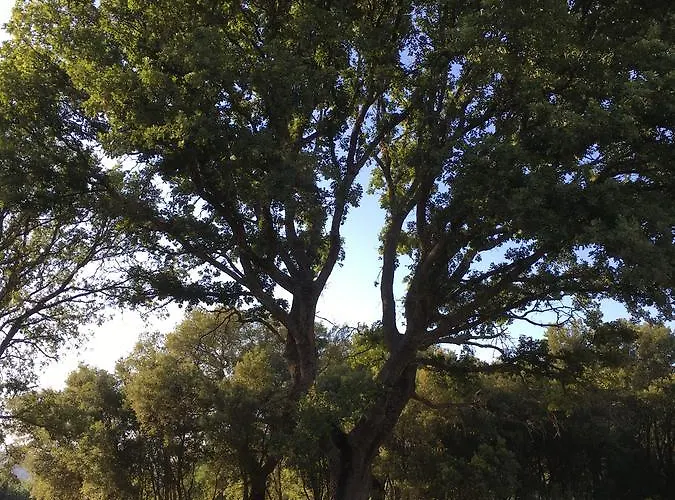 Podere Le Querce Roccastrada