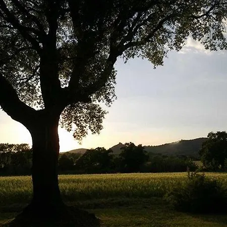 Podere Le Querce Vakantiehuis