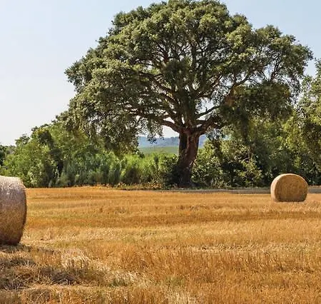 Vakantiehuis Podere Le Querce